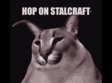 Stalcraft Floppa GIF - Stalcraft Floppa GIFs