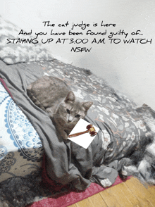 the cat judge is here and you have been found guilty of staying up at 3 o'clock am to watch nsfw