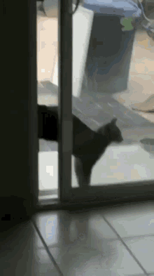 Cat Failure GIF - Cat Failure Window GIFs