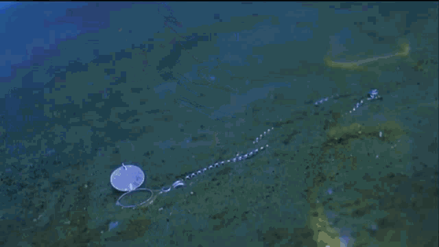 underwater jet in water｜TikTok Search