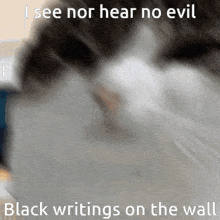 I See Nor Hear No Evil Black Writings On The Wall GIF