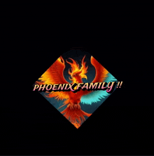 Phoenixfamily GIF - Phoenixfamily GIFs