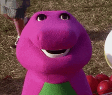 a close up of a purple stuffed animal with a green triangle on his chest .