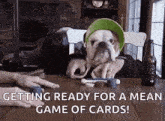 Poker Cards GIF - Poker Cards Bulldog GIFs