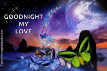 goodnight nite night love butterfly
