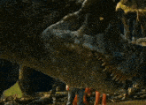 a close up of a dinosaur 's mouth with people standing around