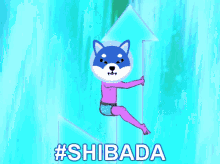 Shibada GIF