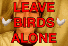 Birds Leave Alone GIF - Birds Leave Alone GIFs