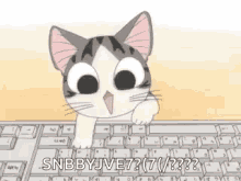 Chis Sweet Home Cat GIF