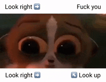 Mort Fuck You GIF - Mort Fuck You Look Right GIFs