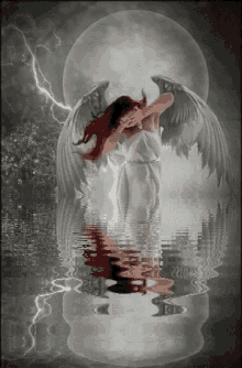 moon angel reflection wings