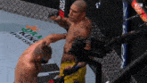 GIF