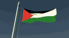 Palestine Flag Waving Palestine GIF - Palestine Flag Waving Palestine Palestine Flag GIFs