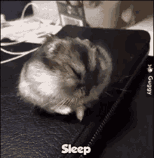 Sleep Good Night GIF - Sleep Good Night Cute GIFs