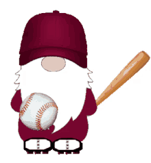 gnome sports baseball