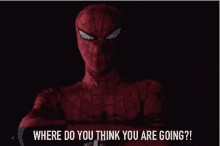 Spiderman Where Are You Going GIF - Spiderman Where Are You Going Angry GIFs