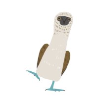 a bird with a long neck and blue feet
