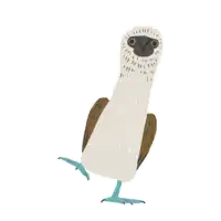 a bird with a long neck and blue feet