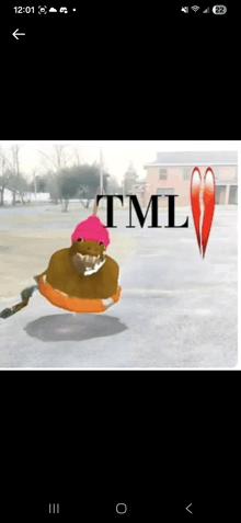 a picture of a horse wearing a pink hat with the words tml above it