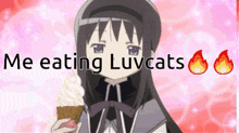 Luvcats Luvats GIF - Luvcats Luvats Te Quiero Luvcats GIFs