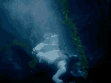 a plastic bag is floating in the water with bubbles coming out of it