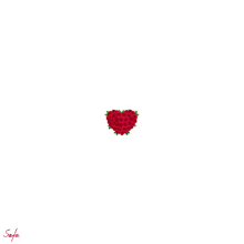 Animated Heart GIF