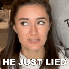 He Just Lied Ashleigh Ruggles Stanley GIF - He Just Lied Ashleigh Ruggles Stanley The Law Says What GIFs