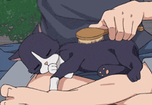 a cartoon drawing of a person brushing a black and white cat
