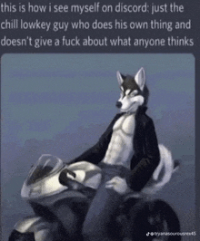 a furry wolf is riding a motorcycle on a discord channel .