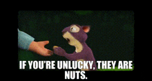 The Nut Job 2 Nutty By Nature GIF