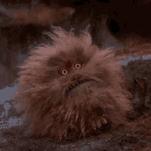 Angry Fizzgig GIF - Angry Fizzgig GIFs