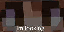 a picture of a minecraft character with the words im looking