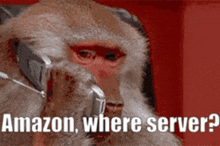 a monkey is talking on a cell phone with the words amazon where server written below it