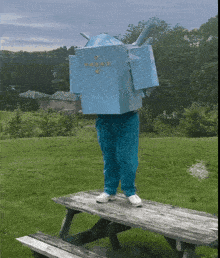 a person is standing on a picnic table wearing a cardboard box on their head