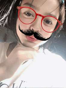 a girl with glasses and a fake mustache