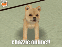 Chaz Chazzie GIF - Chaz Chazzie Online GIFs