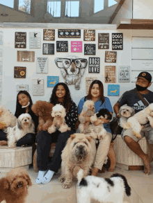 Dogs Family GIF - Dogs Family GIFs