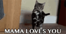 Yes Mama Loves You GIF