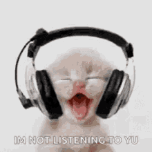Listening To Music Cat GIF - Listening To Music Cat Im Not Listening To You GIFs