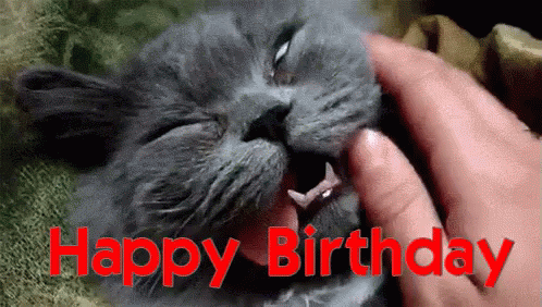 🎂 Happy birthday my beloved kitty! 🎂 • Cat GIF Center