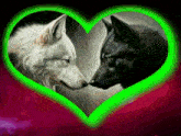 two wolves are looking at each other with a green heart behind them