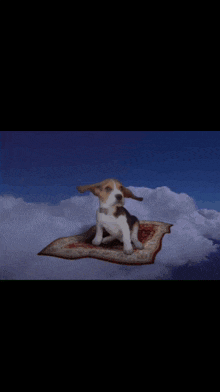 a beagle dog is sitting on a flying carpet in the sky