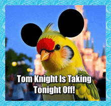 a picture of a bird wearing mickey mouse ears and the caption tom knight is taking tonight off