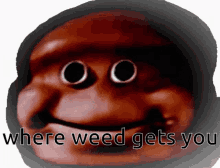 Weed Where Weed Gets You GIF - Weed Where Weed Gets You Smile GIFs