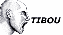 Tibou Tiboo GIF - Tibou Tiboo Shout GIFs