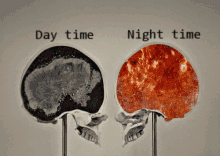 minds day time night