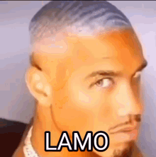 Lamo GIF - Lamo GIFs