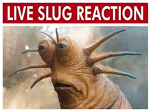 a picture of a slug with the words live slug reaction above it