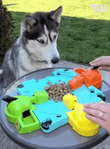 Hungry Dog This Is Happening GIF - Hungry Dog This Is Happening Hungry Hungry Hippos GIFs