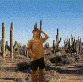 a man stands in a desert surrounded by cactus plants